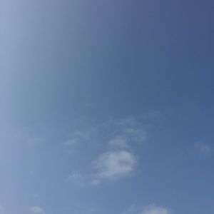 Meet your Posher, Mallory